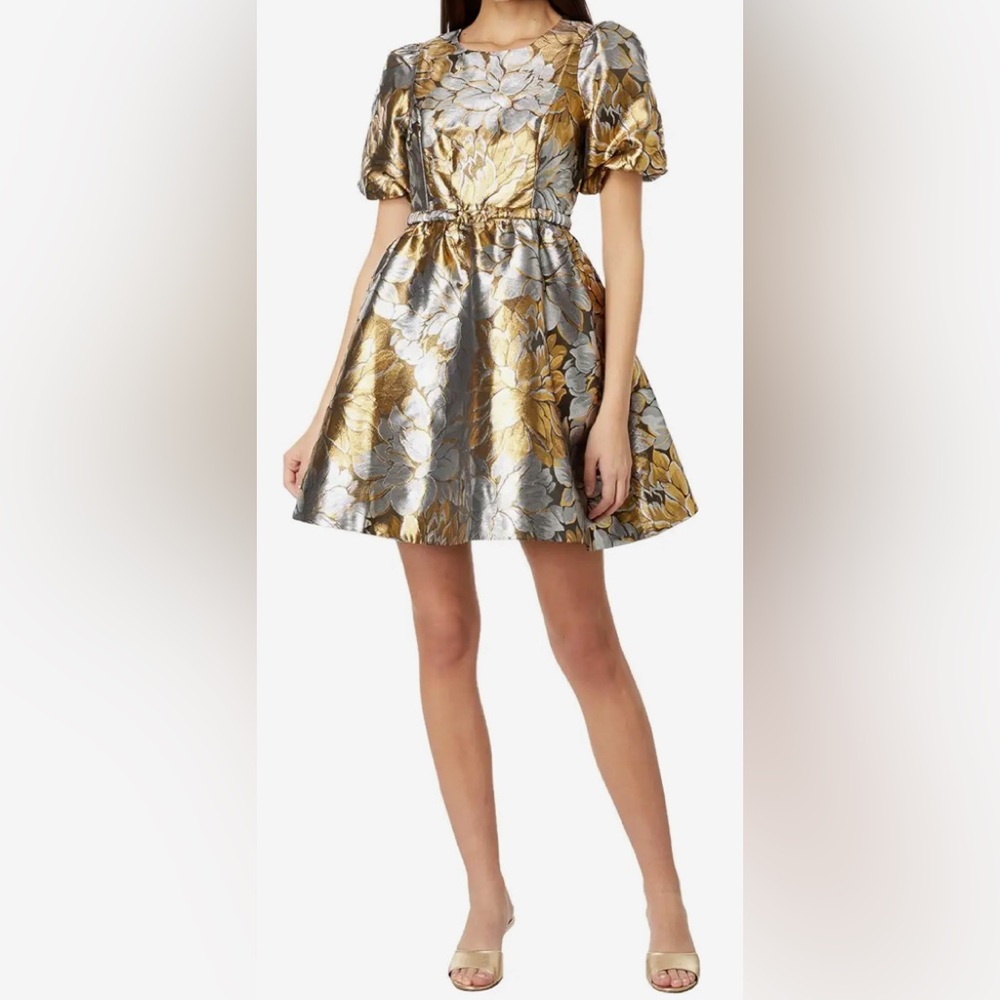 Lilly Pulitzer Priyanka Short Sleeve Floral Dress -Size 12